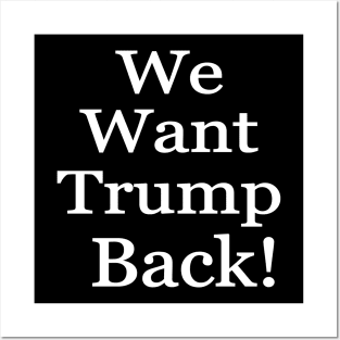 we want trump back 2024 Posters and Art
